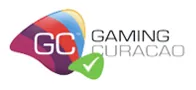 Phone Support Icon